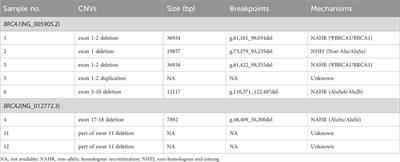 A MALDI-TOF mass spectrometry-based method for detection of copy number variations in BRCA1 and BRCA2 genes